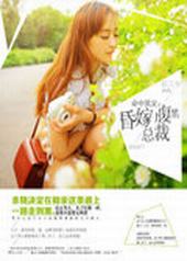 ������������޸����ܲ�