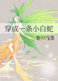 ����һ��С����