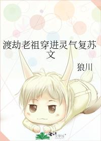 �ɽ����洩������������