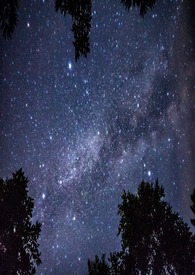 ������������ŮABO��